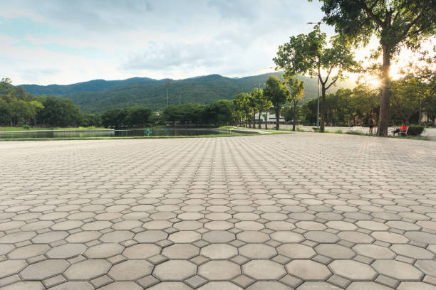 Best Interlocking Driveway Pavers  in Augusta, AR